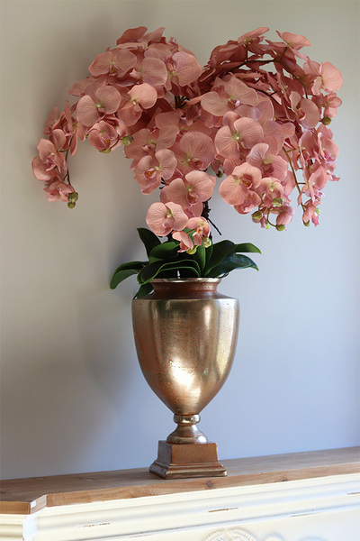 Veneziana Exclusive Villa, storczyk w pucharze