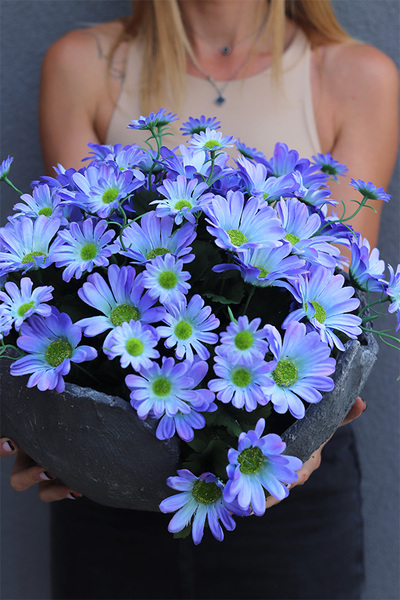 Margarytki Volcan, fioletowo-niebieskie kwiaty w ciężkim naczyniu, wys.30cm