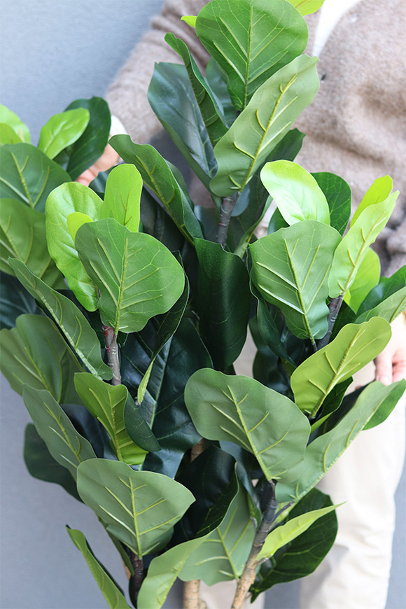 Fikus Dębolistny Walter White, sztuczna roślina w donicy fiberglass