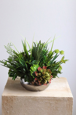 OD RĘKI Silver Piano, kompozycja sukulenty w okrągłej donicy, wys.26cm