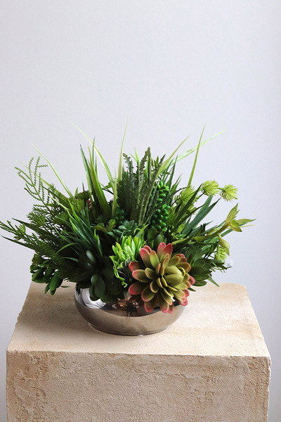 Silver Piano, kompozycja sukulenty w okrągłej donicy