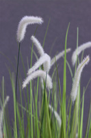 Grande Fiberglass Black Cottage, sztuczna trawa w donicy