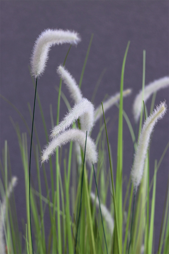 Grande Fiberglass Black Cottage, sztuczna trawa w donicy