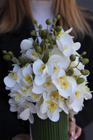 Orchids De Lux 2, bukiet białych kwiatów w szklanym wazonie