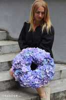 Hortensje Violet, wianek na drzwi z hortensji	