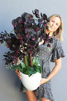 Aubergine New, sztuczny storczyk w białej donicy