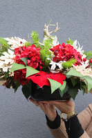 Dorotea, komplet dekoracji nagrobnych