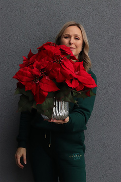 Gwiazda Betlejemska Silverro, wysokiej jakości sztuczna roślina, wys.39cm  