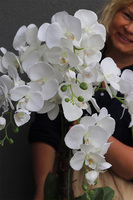 Silver Godania, elegancki sztuczny storczyk