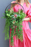 Zieleń Sukulentów B, kompozycja sukulenty w donicy wiszącej