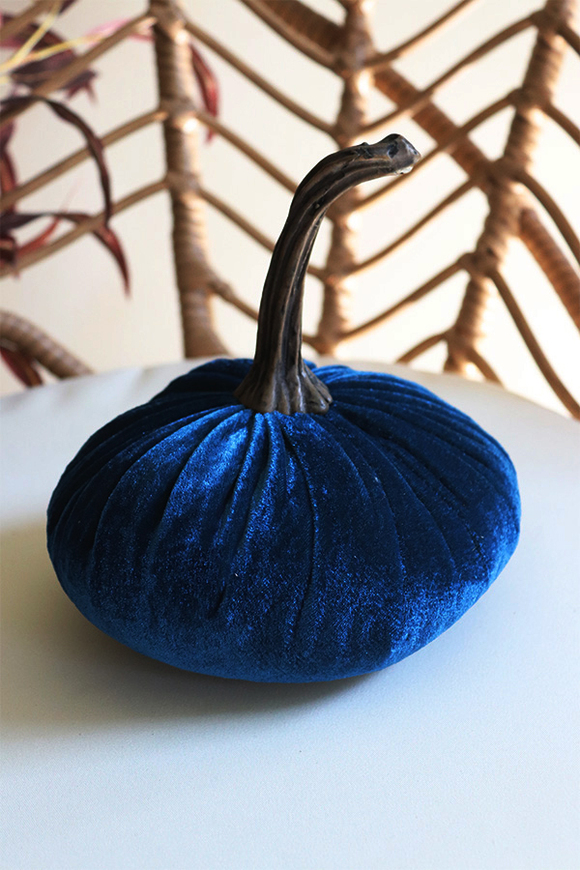 Dynia Veluria, dekoracyjna dynia pluszowa, niebieska