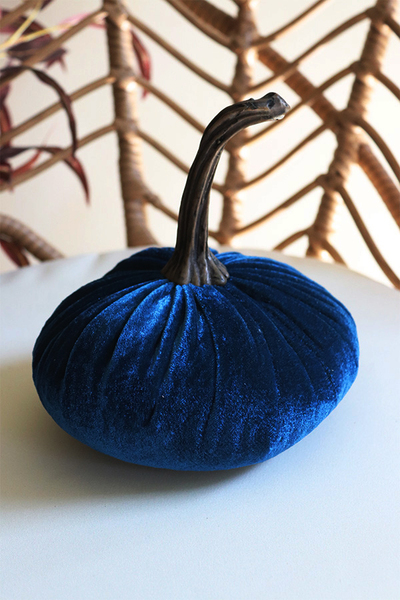 Dynia Veluria, dekoracyjna dynia pluszowa, niebieska