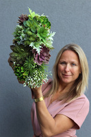 kompozycja Sukulenty Regallo w betonowej donicy