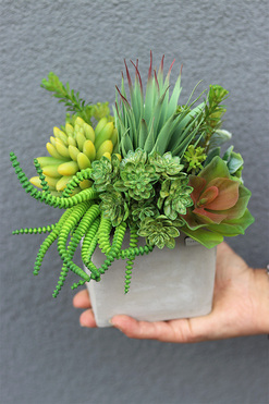 Green Celita B, zielona kompozycja w betonowej donicy, wys.22cm