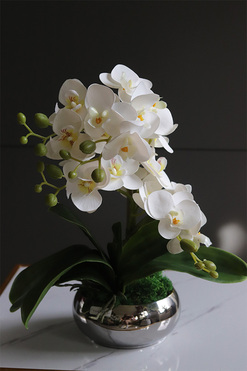 Krena Mini 2, gumowy storczyk w lustrzanej doniczce, wys.35cm