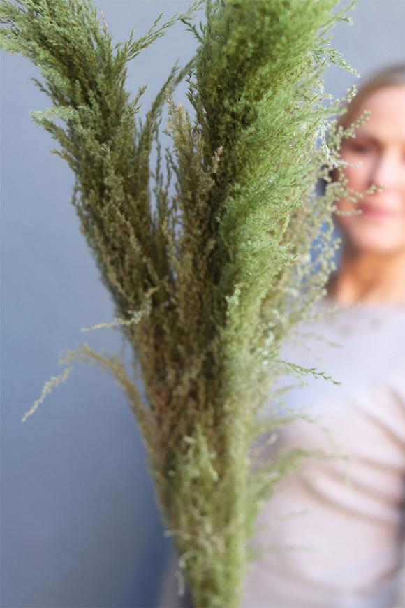 Pampasy Green Long, bukiet suszonych traw