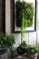 czarna jednostronna rama Lisbon Hotels Sukulenty, wym.77x57cm