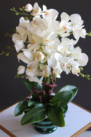 Greendeco Carrington Small, sztuczny storczyk w zielonym pucharze