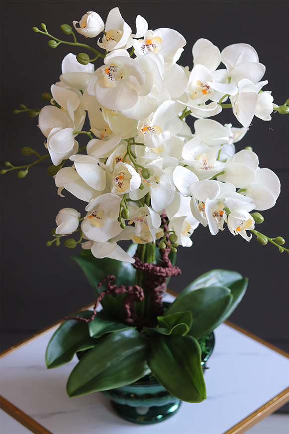 Greendeco Carrington Small, sztuczny storczyk w zielonym pucharze