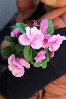 Bratki, kiść kwiatów, różowe