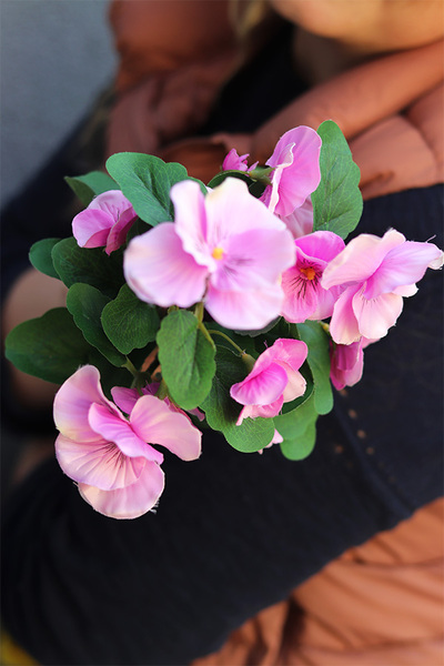 Bratki, kiść kwiatów, różowe