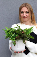 Green Face, efektowna kompozycja sukulenty w głowie