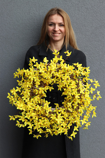 Forsycja, wiosenny wianek na drzwi