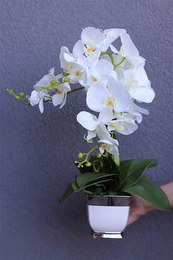 OD RĘKI Biała Panna, storczyk w biało-srebrnym naczyniu, wys.51cm