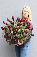 Bordo Tulips Amsterdam, dekoracja nagrobna z tulipanami	