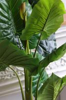 Filodendron kwitnący, wysokiej jakości sztuczna roślina