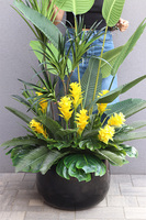 Greenpoint Walter, kompozycja z bromelią w donicy fiberglass