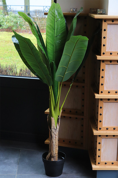 Bananowiec, sztuczne drzewko w donicy