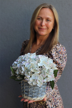 kosz z szarymi hortensjami, Delicato, wys.25cm