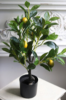 sztuczne drzewko cytrynowe, Citronea