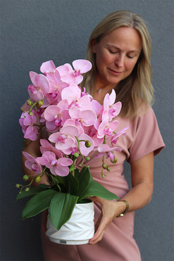 Pink Orchina, różowy storczyk w białej doniczce, wys.55cm