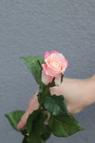 Róża Juliet, gałązka sztucznej róży, różowa