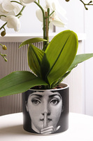 Fornasetta Silent, sztuczny storczyk w ozdobnej donicy