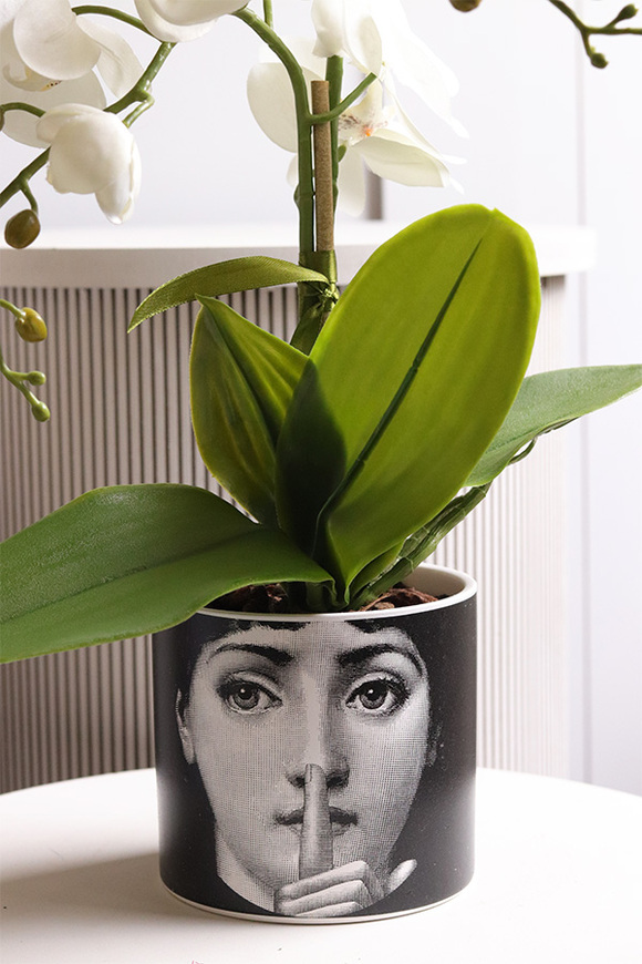 Fornasetta Silent, sztuczny storczyk w ozdobnej donicy