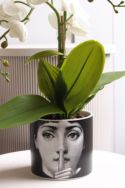 Fornasetta Silent, sztuczny storczyk w ozdobnej donicy