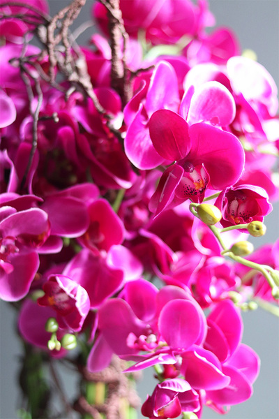 Fuksja Gold Cooler, sztuczny storczyk w złotym coolerze