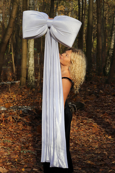 Velvet Papillon, welurowa kokarda pluszowa XXL