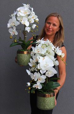 storczyki Green Bedua kpl.2szt, wys.65/58cm
