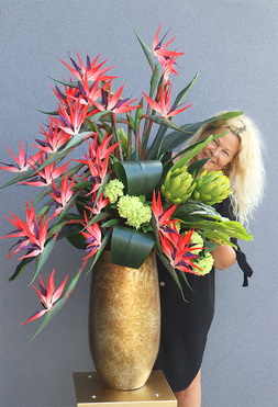 Princera Rubinowa Strelicja 2, kompozycja w złotej donicy, wys.120cm