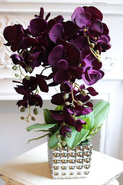 Purple Silveria 2, fioletowy storczyk w srebrnej donicy, wys.62cm 