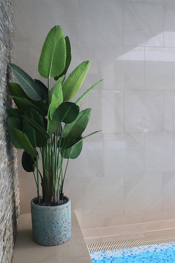 Andaluzja Bananowiec Hillton, wysokiej jakości sztuczne drzewo w donicy, wys.215cm