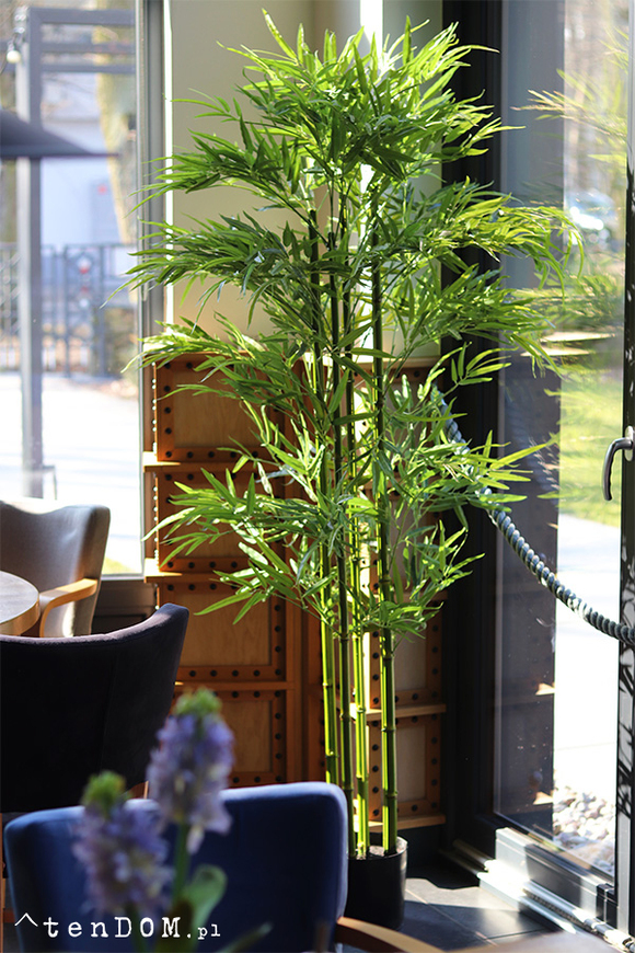 Bambus, sztuczna roślina w osłonce z tworzywa