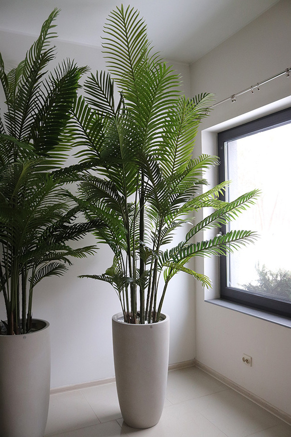 Areca Ibis Concrete, sztuczna palma w betonowej donicy