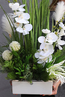 Grenoa Banerra, kompozycja z trawą i storczykiem