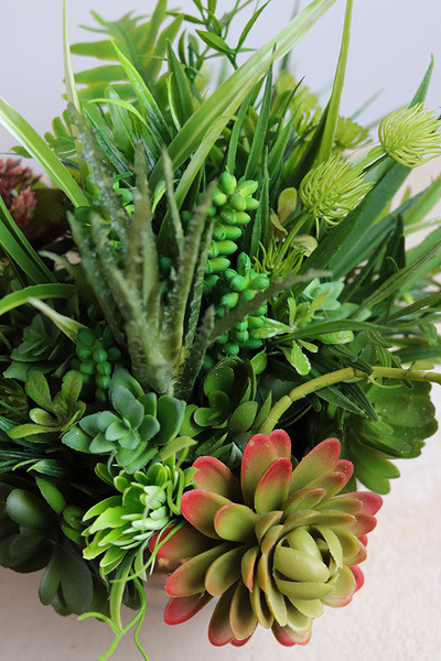 Silver Piano, kompozycja sukulenty w okrągłej donicy