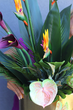 Anturium & Strelicja Złota Bajka, egzotyczna kompozycja, wys.120cm